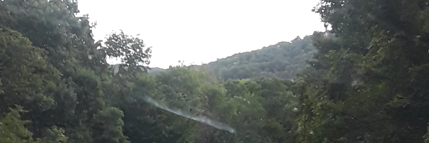 ValoriePrimeau1's profile banner image