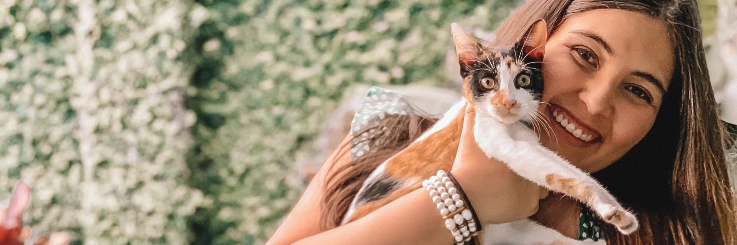valeefernandezp's profile banner image