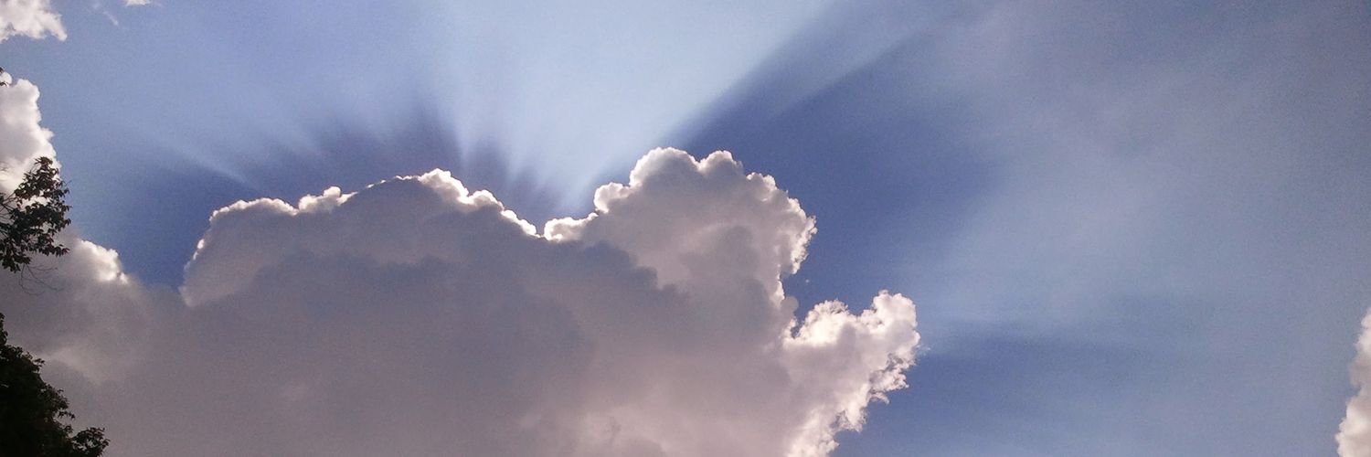 MrLeakyDNA's profile banner image