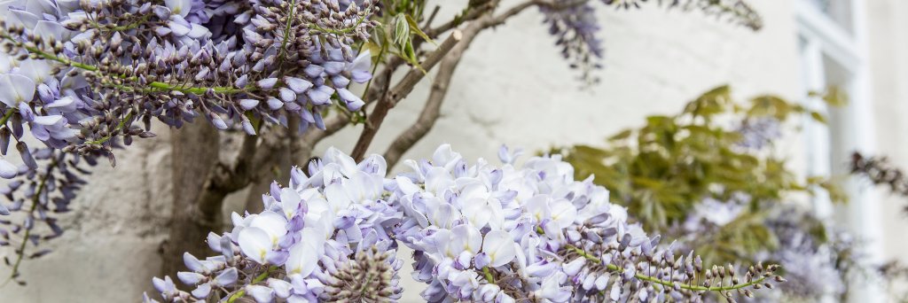 Mrs Eley and Year 3 banner