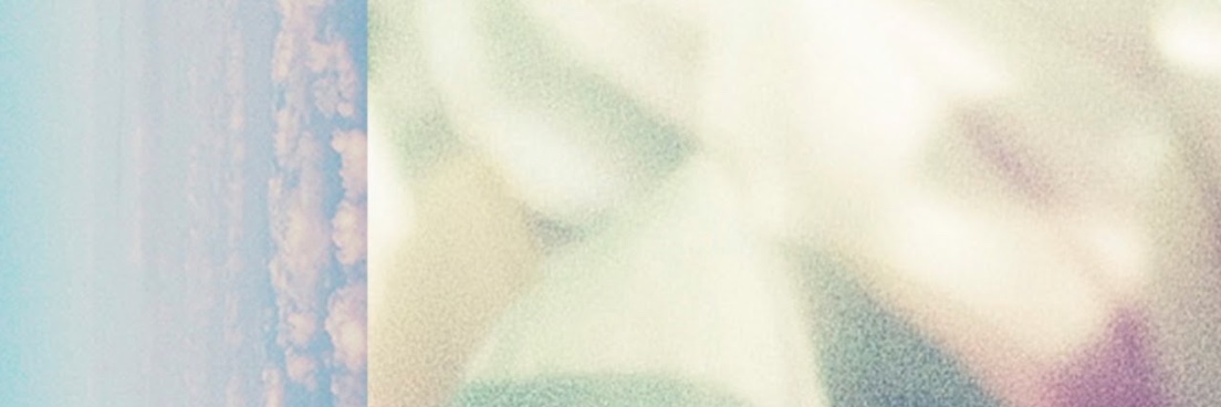 birdpaula's profile banner image