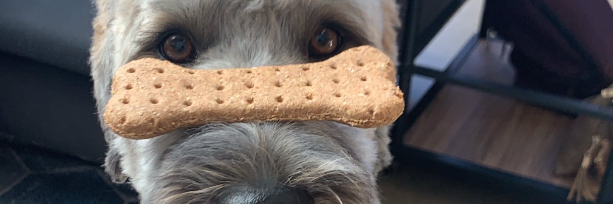 garmistry's profile banner image