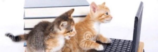 mrskabilaa Profile Banner