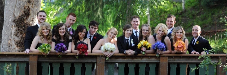 hali_bear's profile banner image