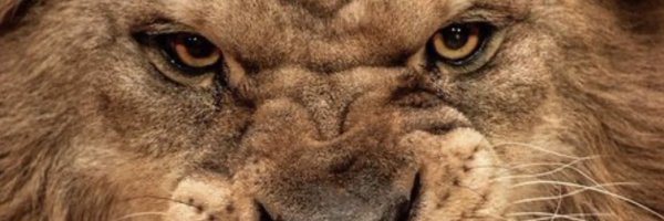 AthleticExtreme Profile Banner