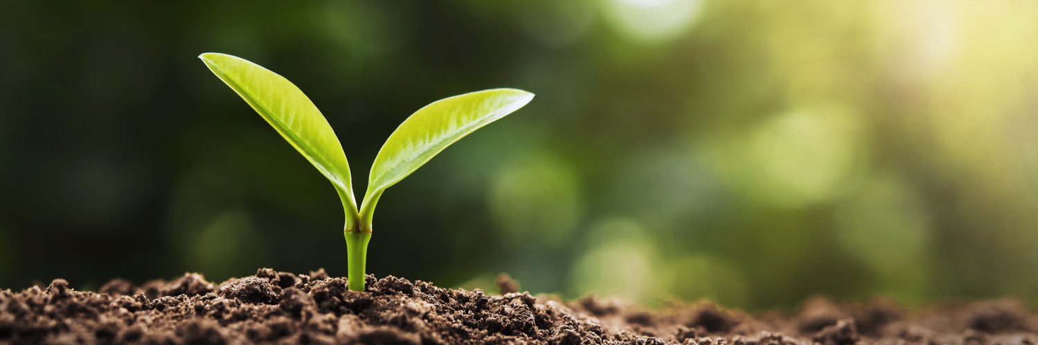 CA Assoc. of RCDs banner