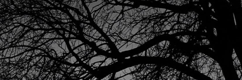 liamramoz's profile banner image