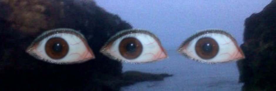 draggednet's profile banner image