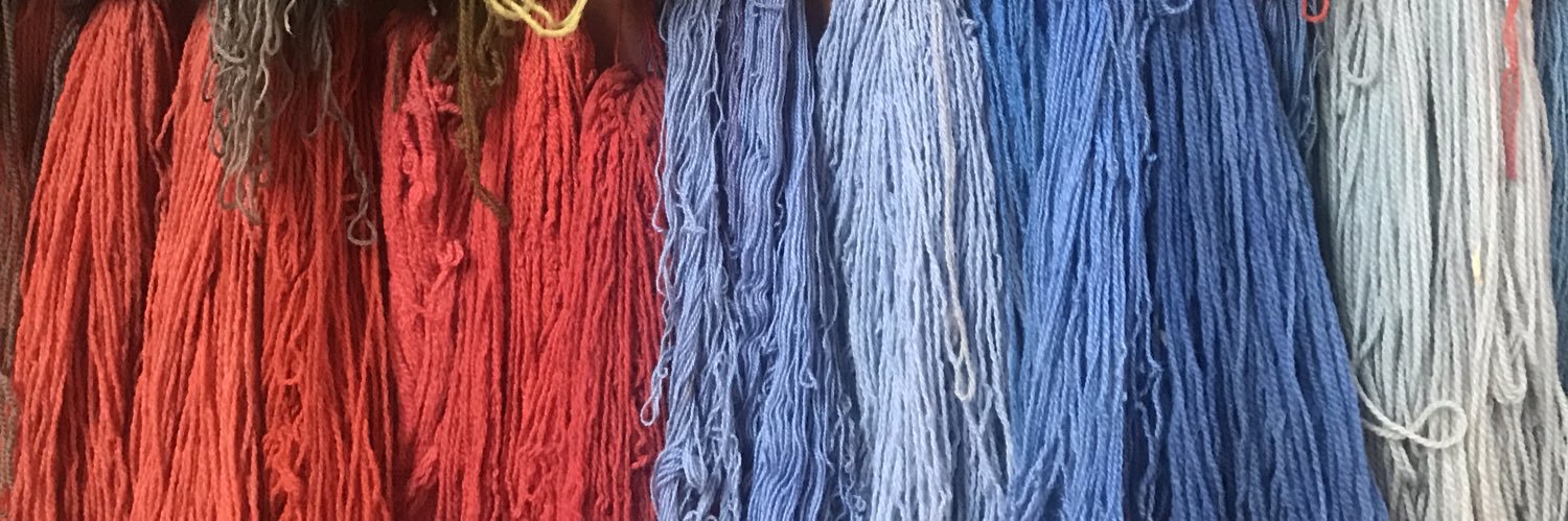 Daniela Tiuso banner