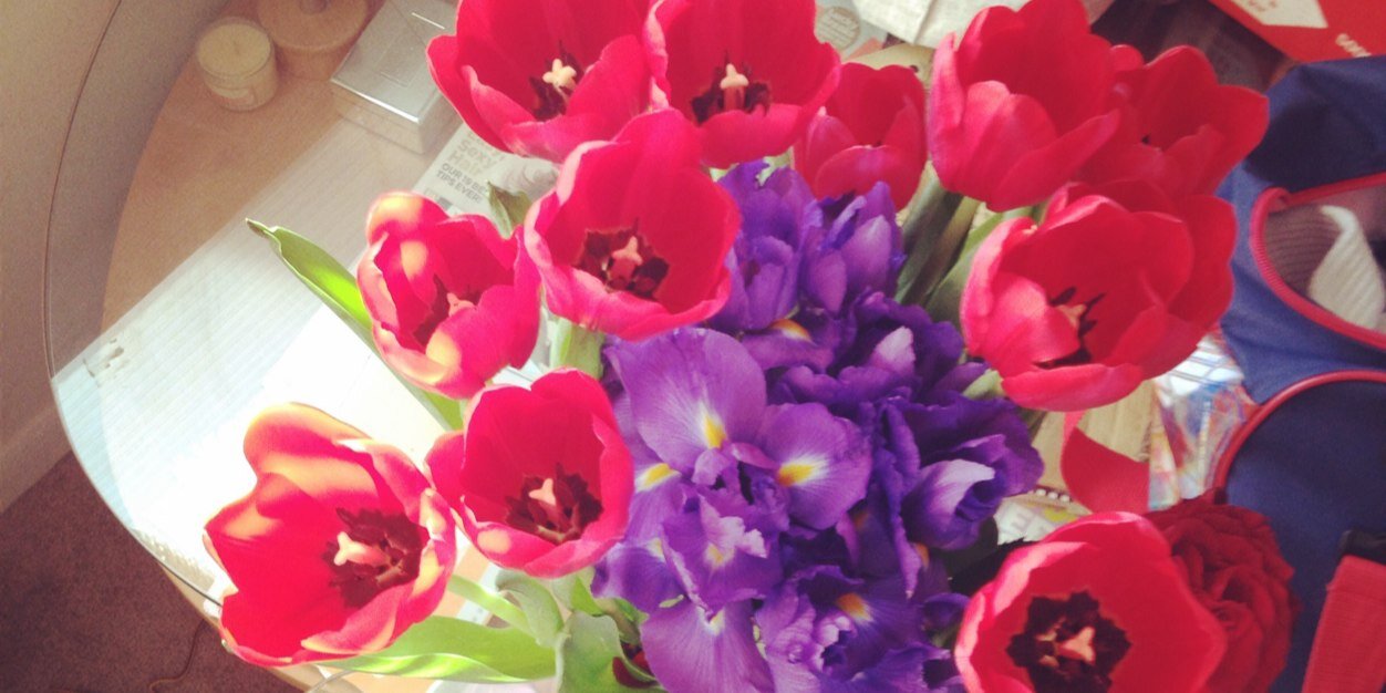 Live~Love~Life banner