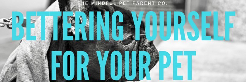 mindflpetparent's profile banner image