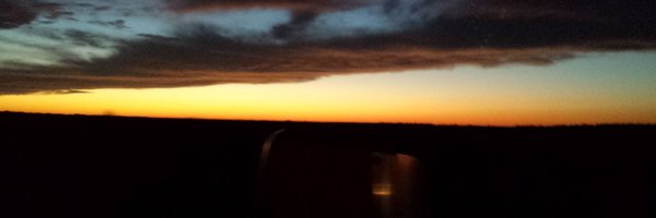 Rashida Profile Banner