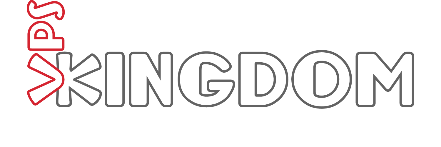 VPSKINGDOM.com banner