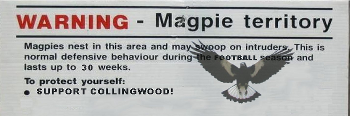 Rob C 🇦🇺 banner