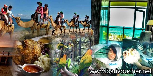 BaliVoucher's profile banner image