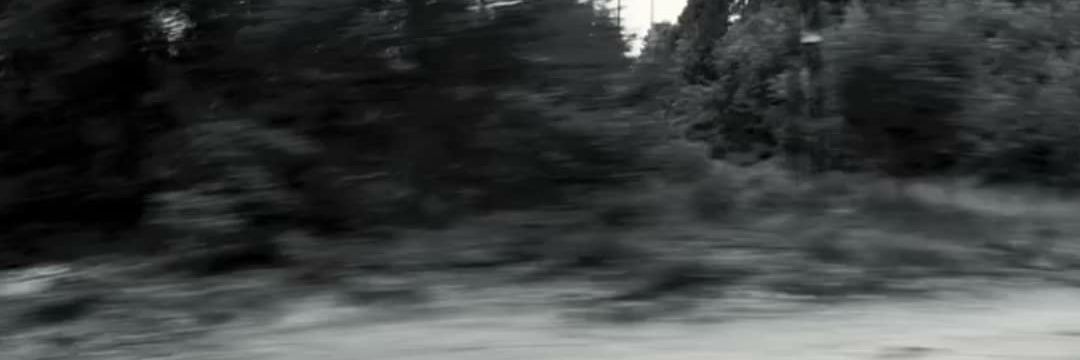 Kontrexsin's profile banner image