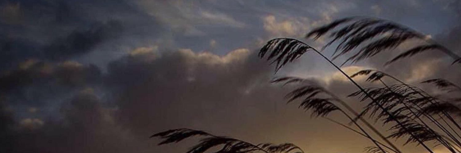 ASWordsmith's profile banner image