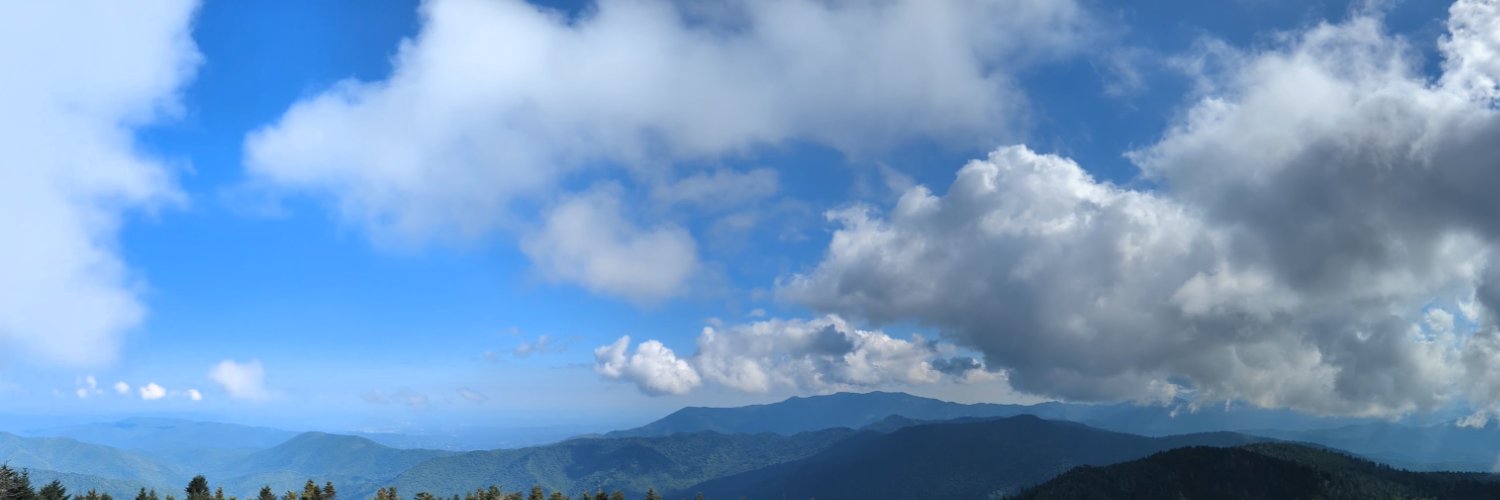 Meredith MacMartin, MD MS FAAHPM banner