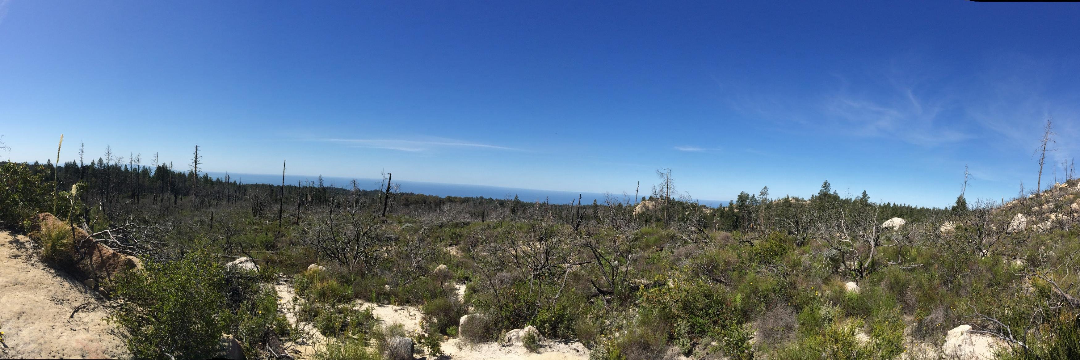 Jacob Metcalf 🐀 banner