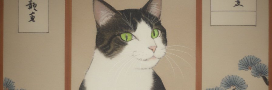 catmans_suplex's profile banner image