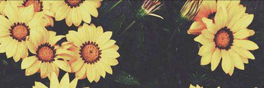 SchaAkma02's profile banner image