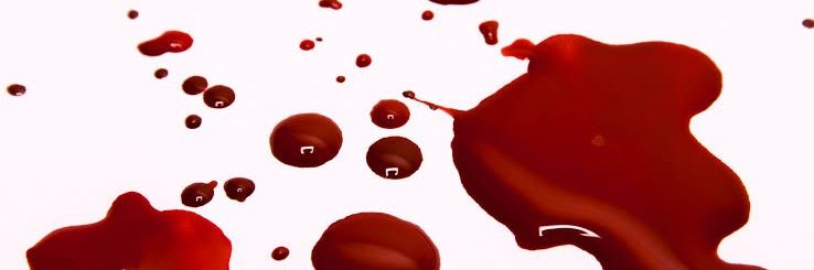 Wilma_willy banner