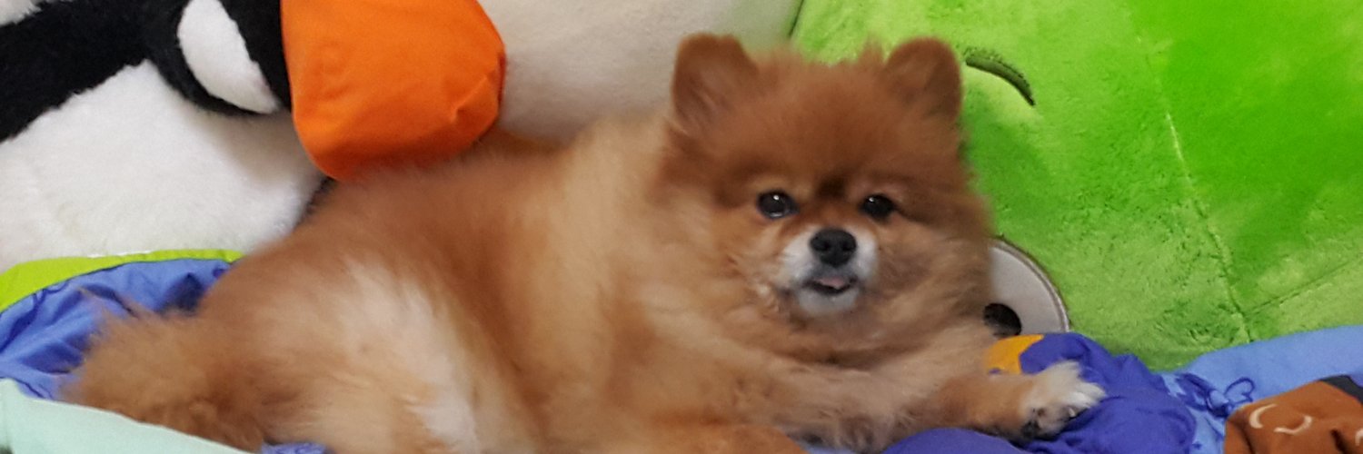 竹葉 banner