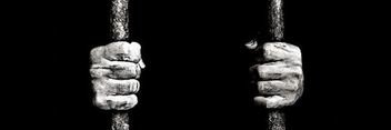 فيصل الصالح banner