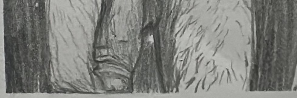 alayon banner