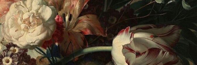 iaxba's profile banner image