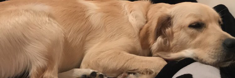 m3gKay's profile banner image