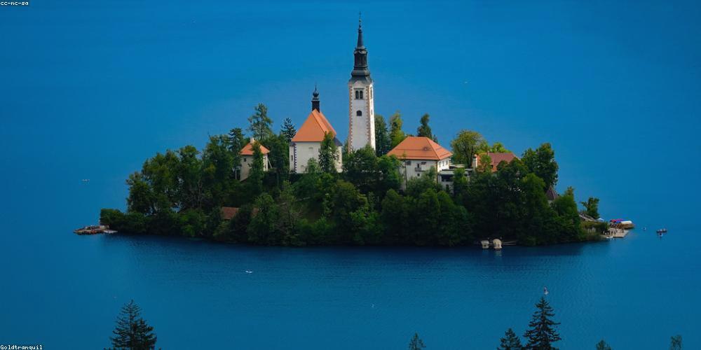 ArosCe's profile banner image