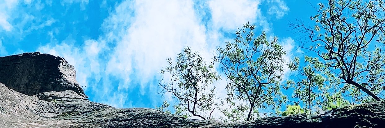 AzandeZee's profile banner image