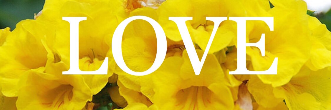LOVE banner