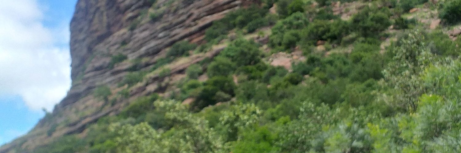RAMASHILO1's profile banner image