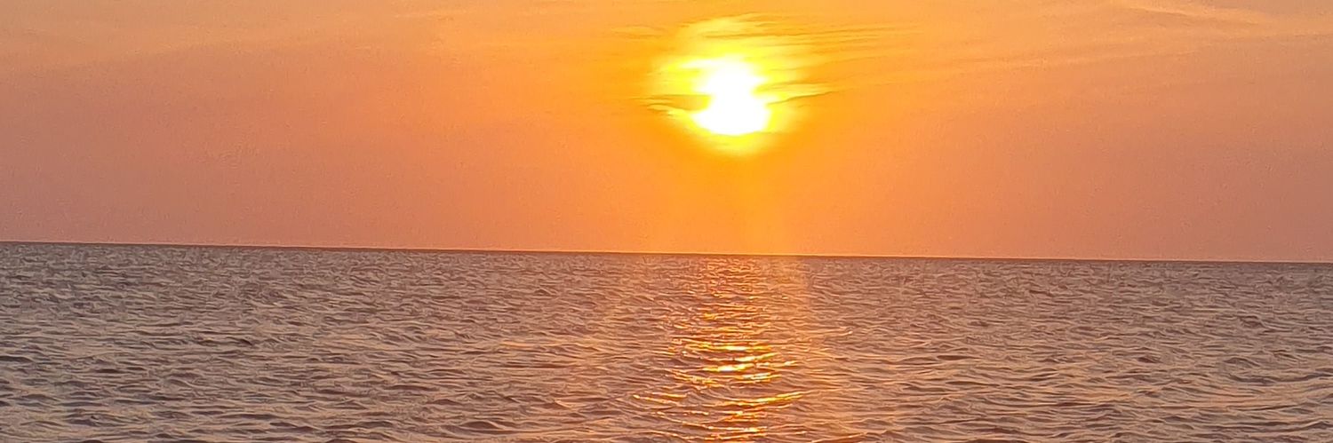 jimenapiacea's profile banner image