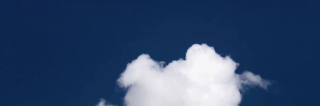 rakhvenari's profile banner image
