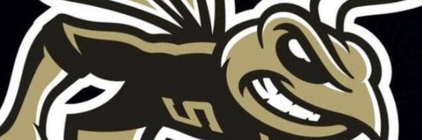 Sprayberry High School Profile Banner