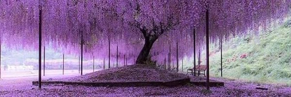 manochithra3228 Profile Banner