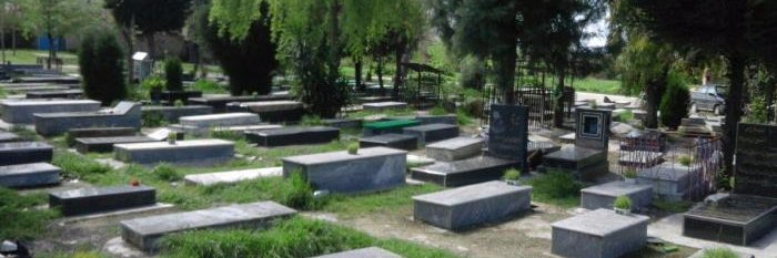 ماهی سیاه banner