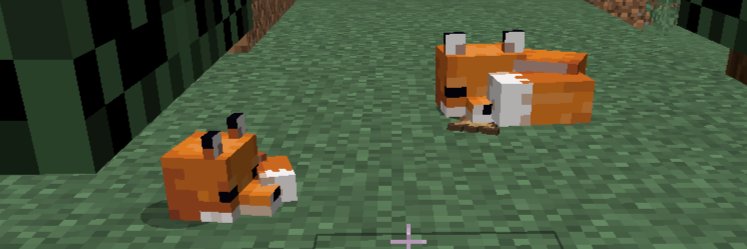 フィオ−fio−🐰🍭 banner