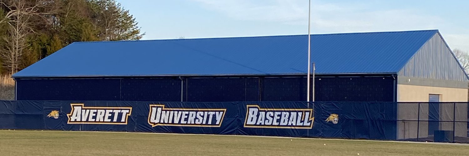 Averett Baseball Profile Banner