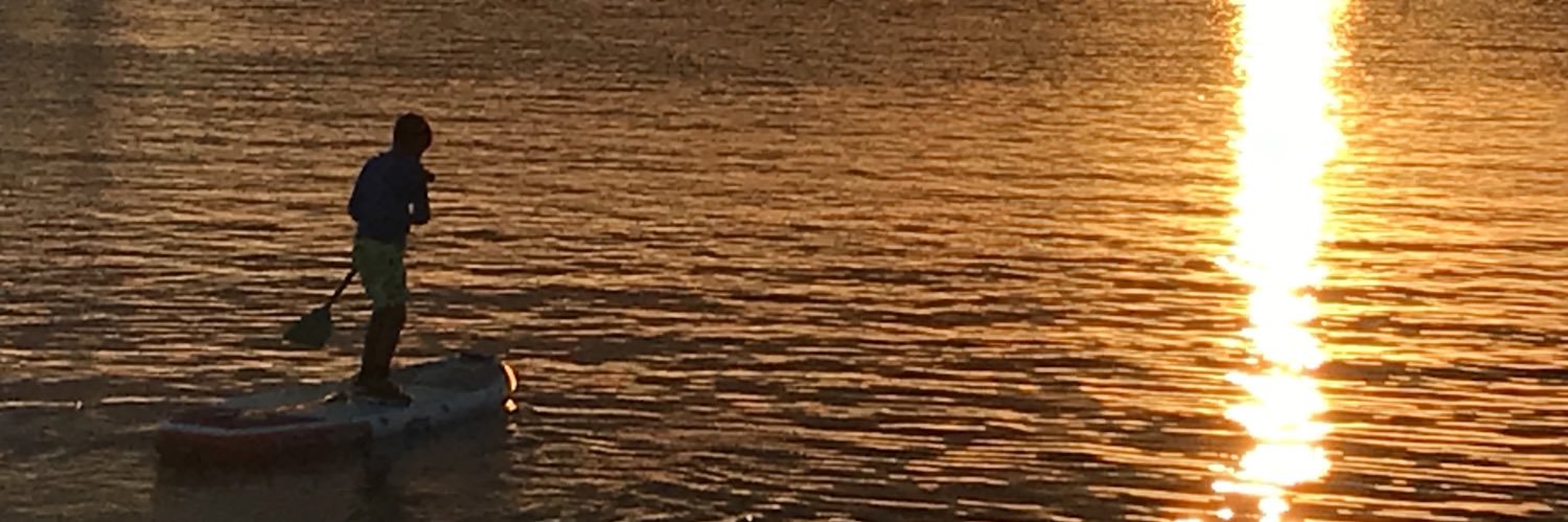 Mr. LowFi Guy banner