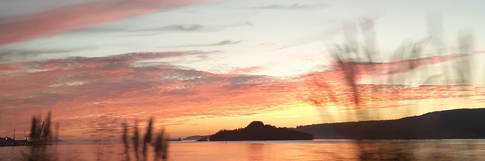inespg7's profile banner image