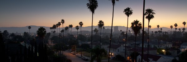 AnalyticAnna Profile Banner