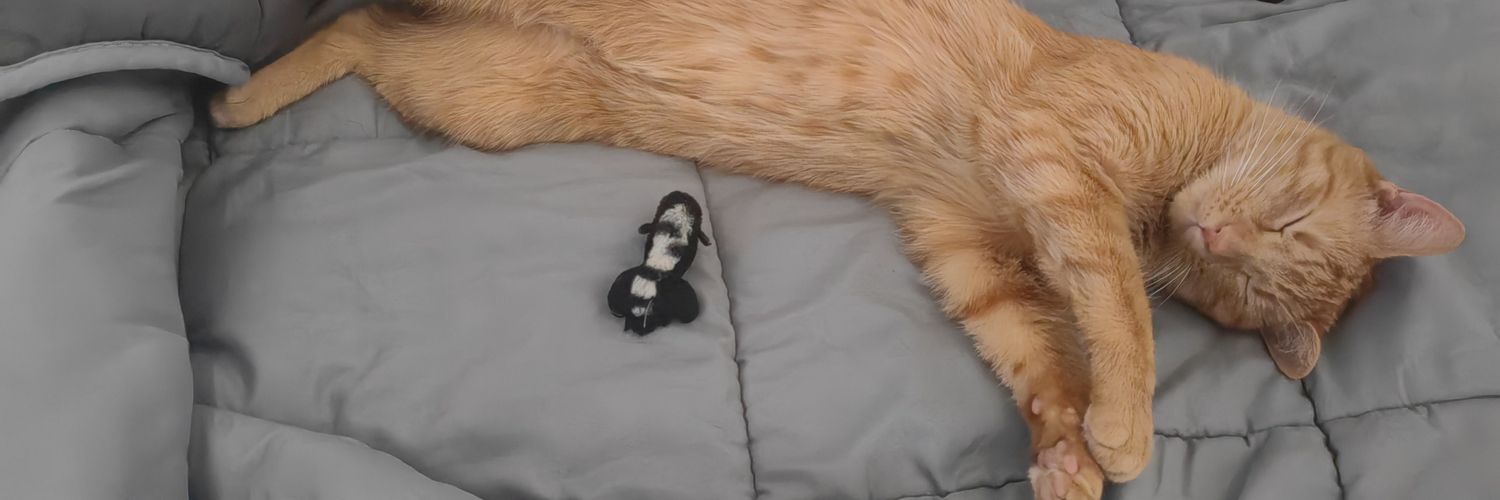 3B|Ternurin Facha banner