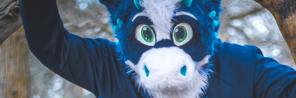 Voki banner