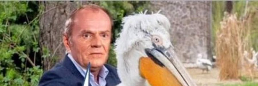 XXL banner