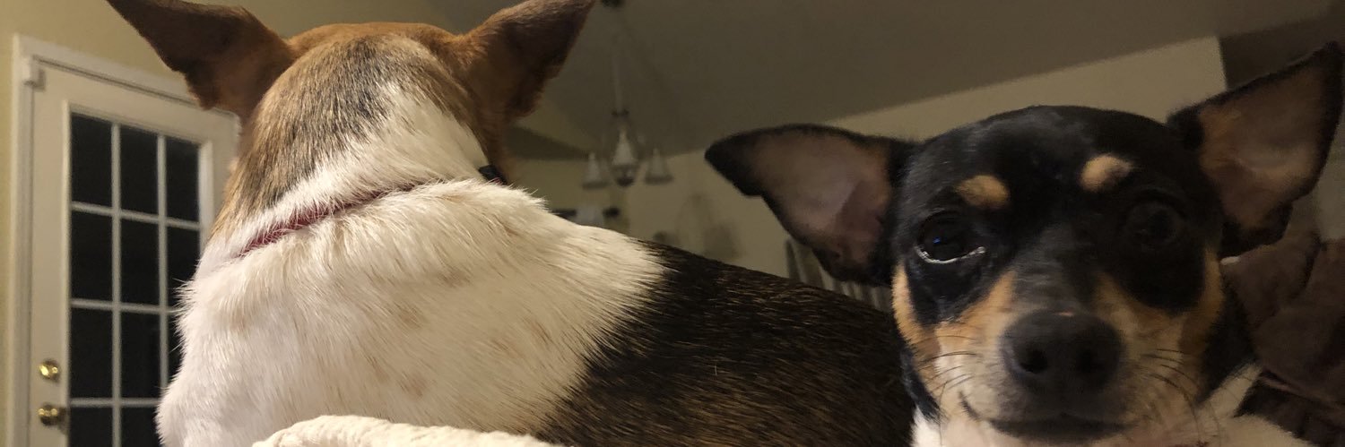 Kayzaroo's profile banner image