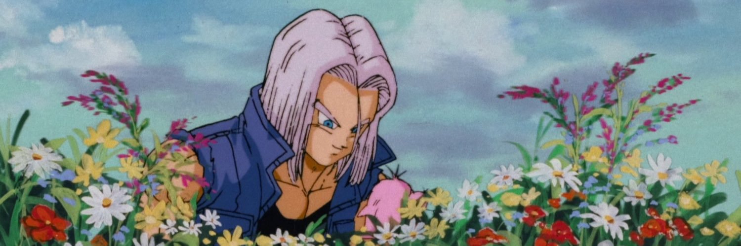trunks banner